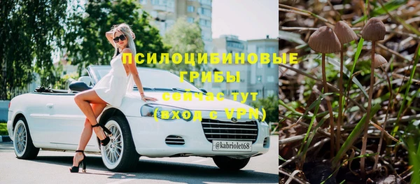 ECSTASY Абаза