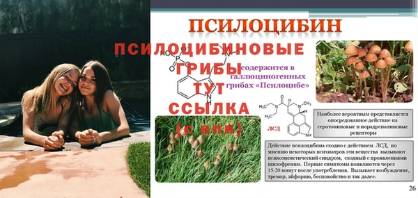 скорость Киреевск