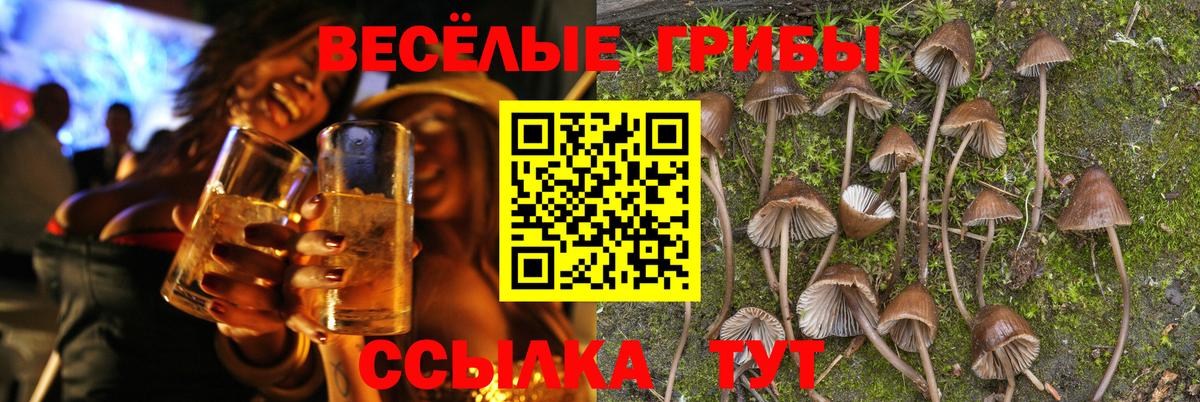 Псилоцибиновые грибы MAGIC MUSHROOMS Североморск