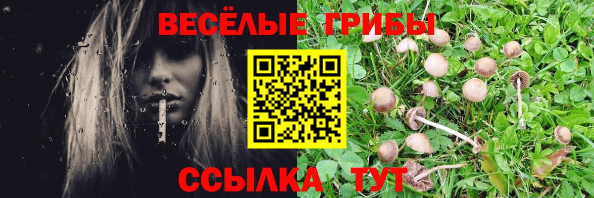 Галлюциногенные грибы Psilocybe  Галлюциногенные грибы Psilocybe  Североморск  Вход с VPN 